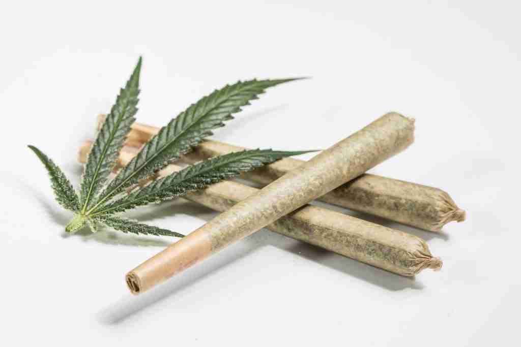 pre-rolled joint