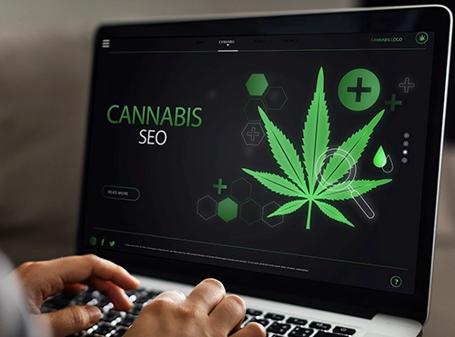 cannabis SEO